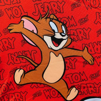 TOM & JERRY 2 Boxer